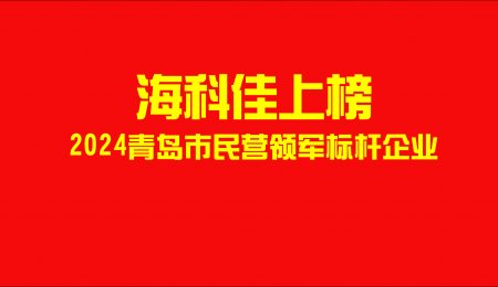 海科佳上榜！2024年青島市民營(yíng)領(lǐng)軍標(biāo)桿企業(yè)